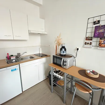Le Mauperthuis Apartment *